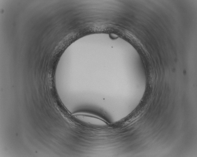 X0000067510497200605051833