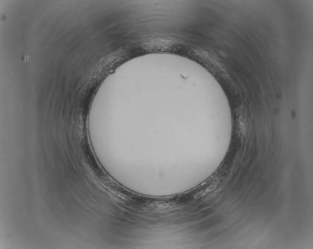 X0000067510498200605051833