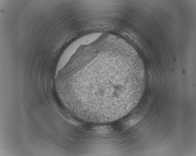 X0000067510499200605051833