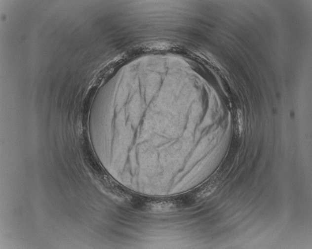 X0000067510500200605051833