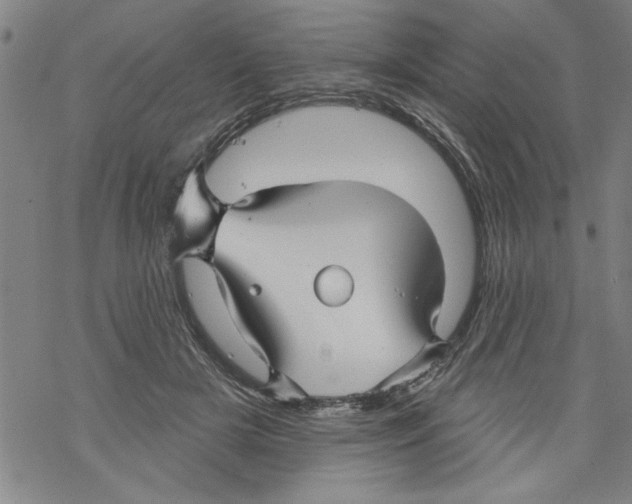 X0000067510505200605051832