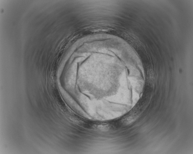 X0000067510506200605051832