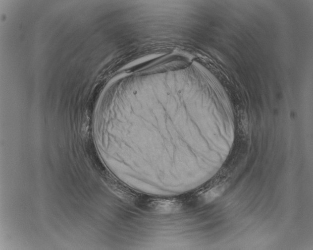 X0000067510507200605051832