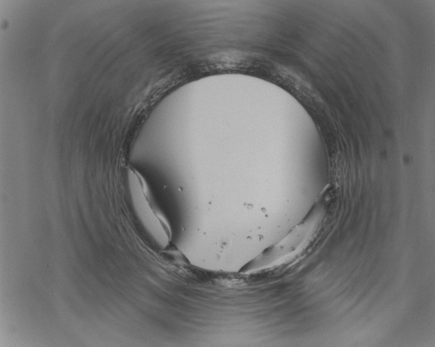 X0000067510509200605051832