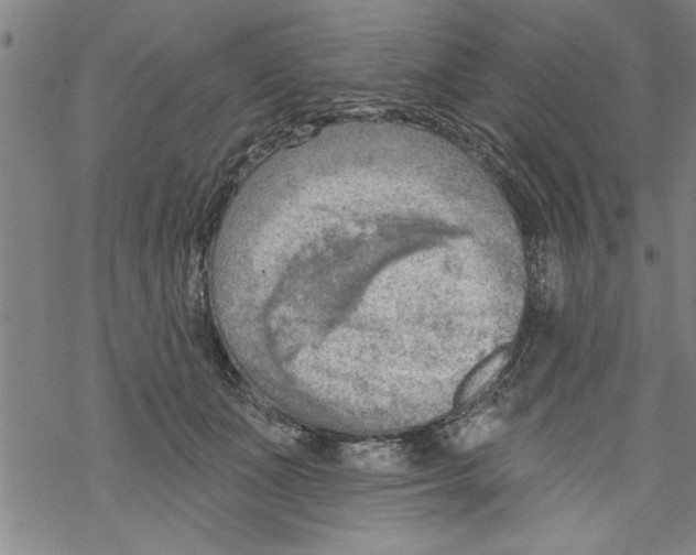 X0000067510511200605051832