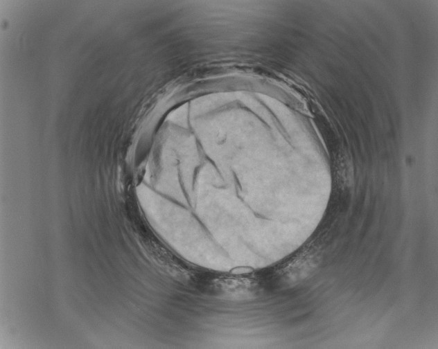 X0000067510512200605051832