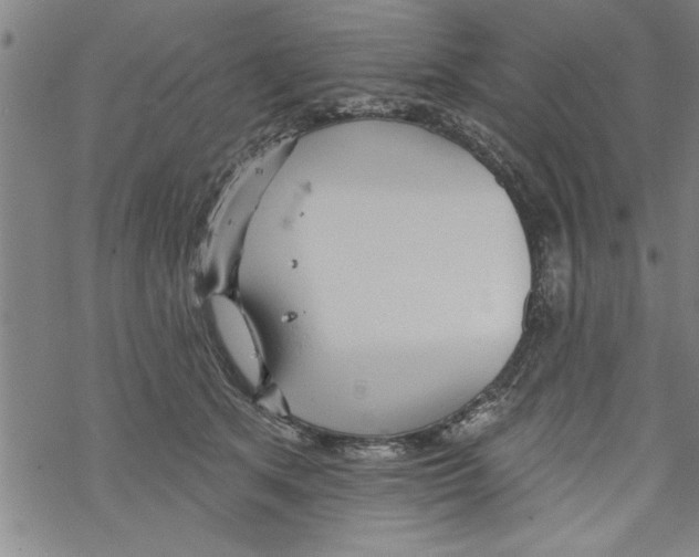 X0000067510513200605051832