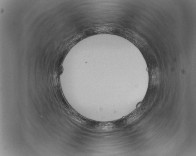 X0000067510514200605051832