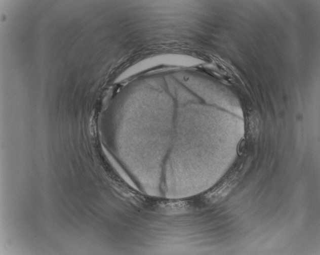 X0000067510517200605051832