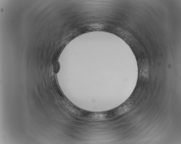 X0000067510518200605051832