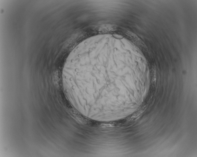 X0000067510519200605051832