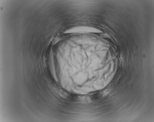 X0000067510520200605051832