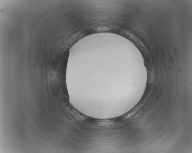 X0000067510521200605051832