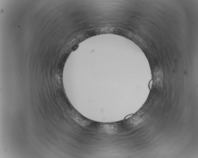 X0000067510522200605051832