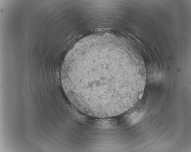 X0000067510523200605051832