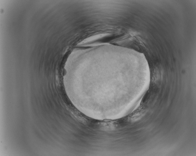 X0000067510524200605051832