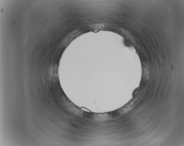 X0000067510525200605051832