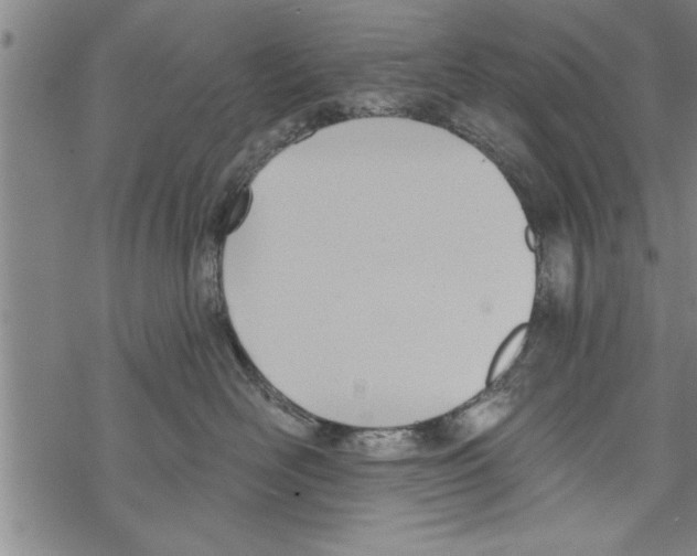 X0000067510526200605051832