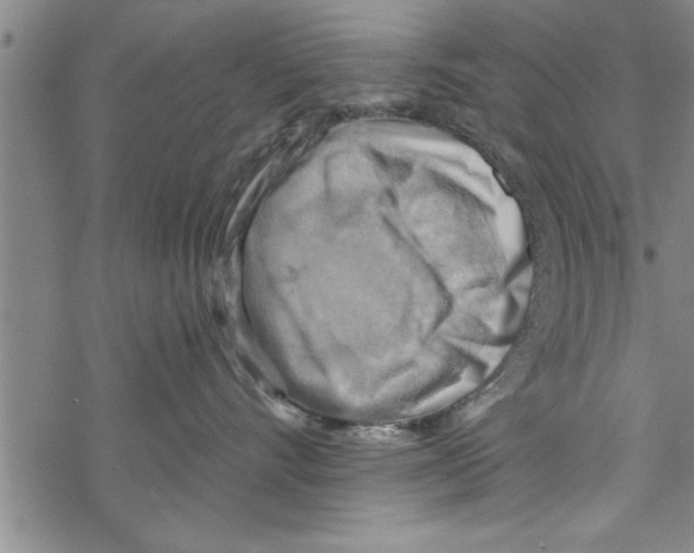 X0000067510528200605051832