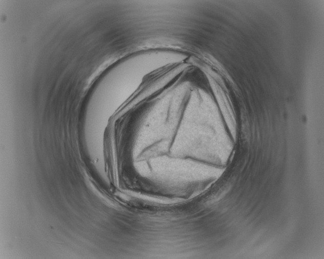 X0000067510530200605051831