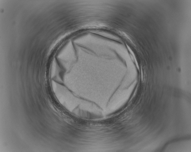 X0000067510531200605051831