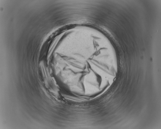 X0000067510532200605051831