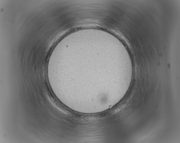 X0000067510533200605051831