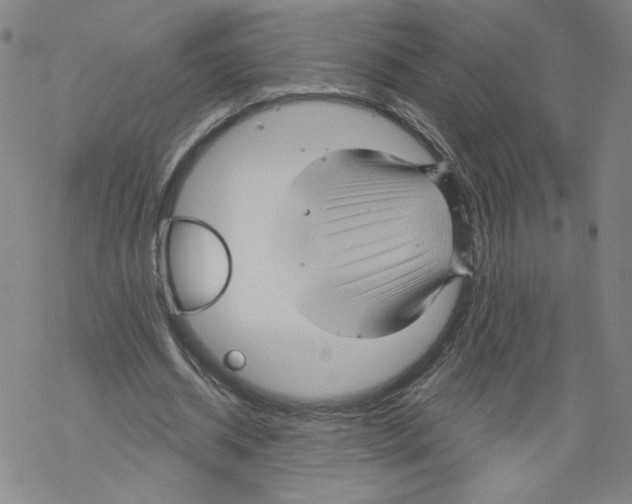 X0000067510534200605051831