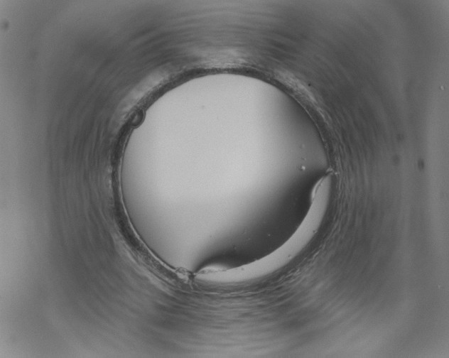 X0000067510535200605051831