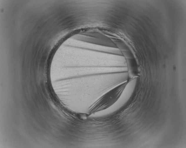 X0000067510536200605051831