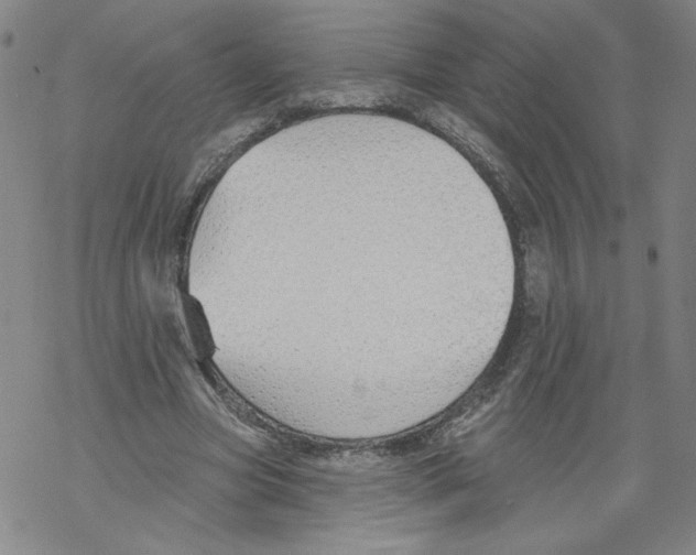 X0000067510537200605051831