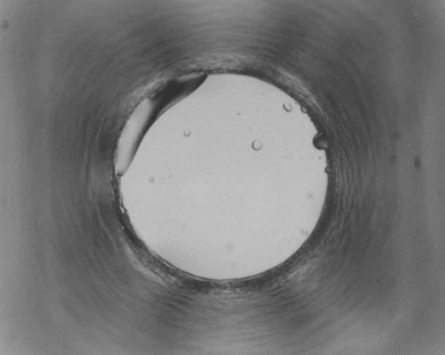 X0000067510538200605051831