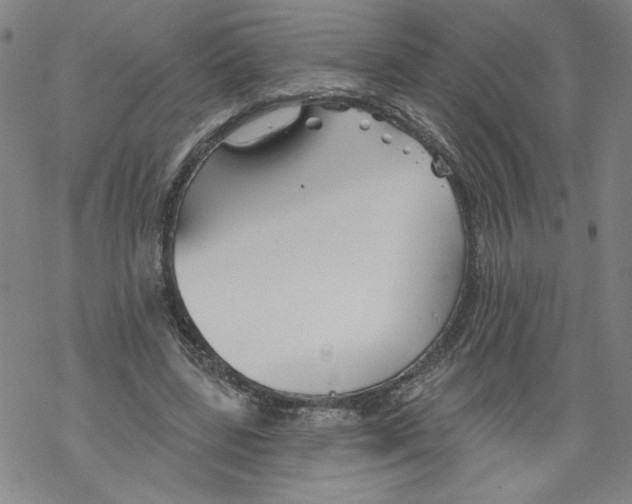 X0000067510539200605051831