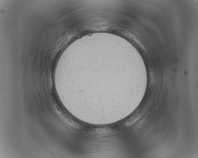 X0000067510541200605051832