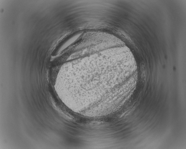 X0000067510542200605051832