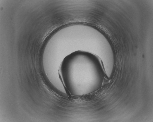 X0000067510544200605051832