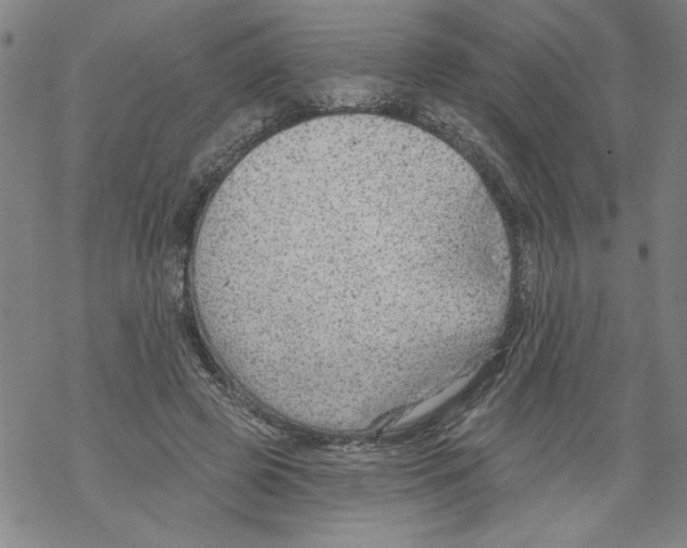 X0000067510545200605051832