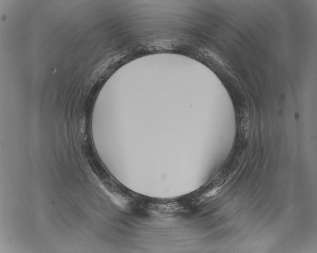 X0000067510548200605051832