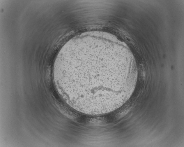 X0000067510550200605051832