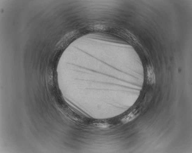 X0000067510552200605051832