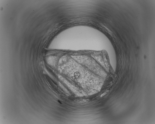 X0000067510553200605051832