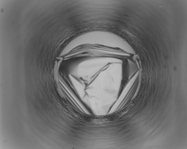 X0000067510556200605051832