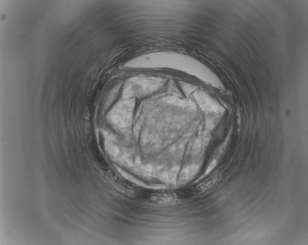 X0000067510559200605051832