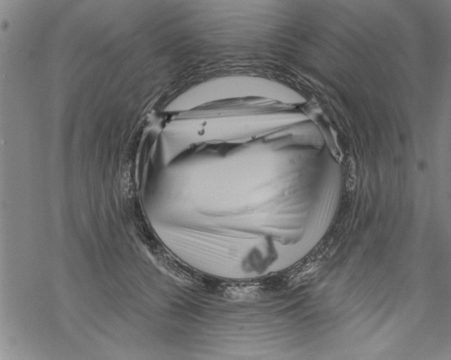 X0000067510560200605051832