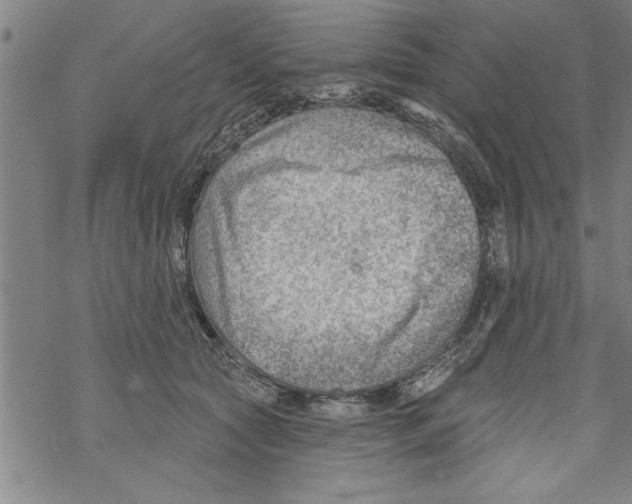 X0000067510561200605051832