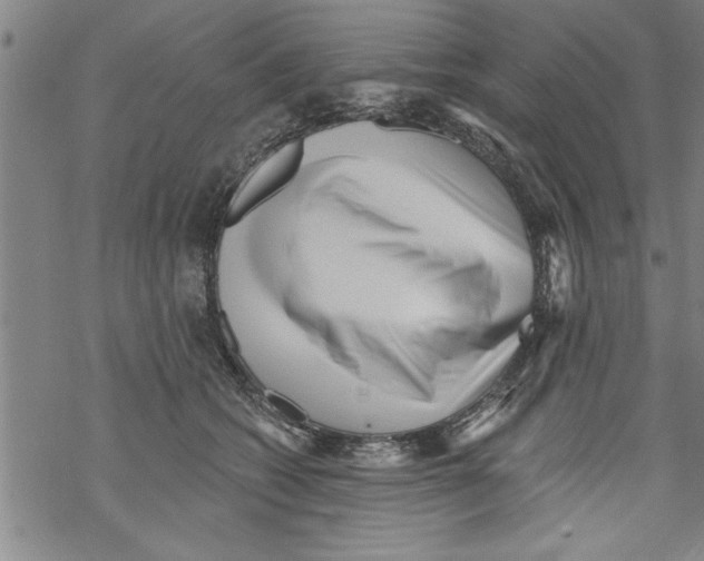 X0000067510562200605051832