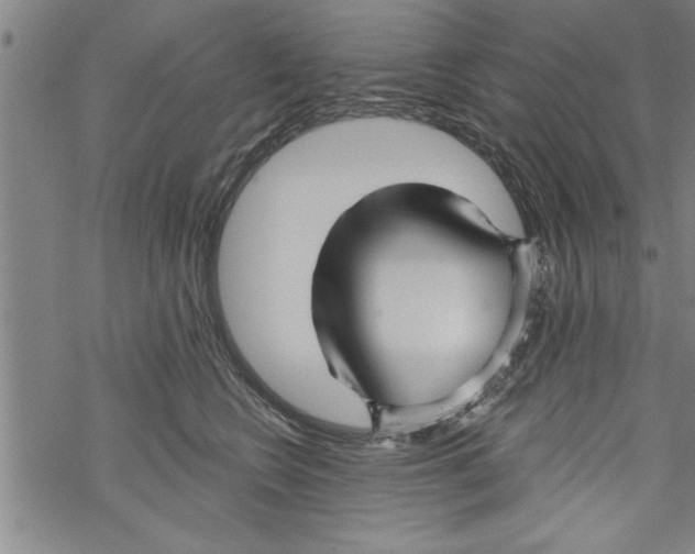 X0000067510566200605051832