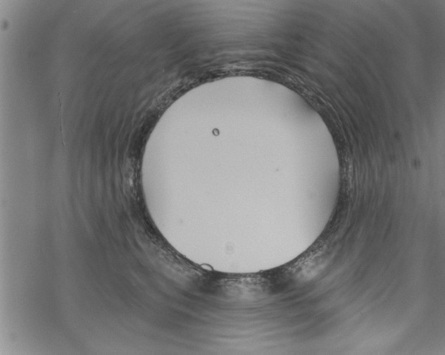 X0000067510567200605051832