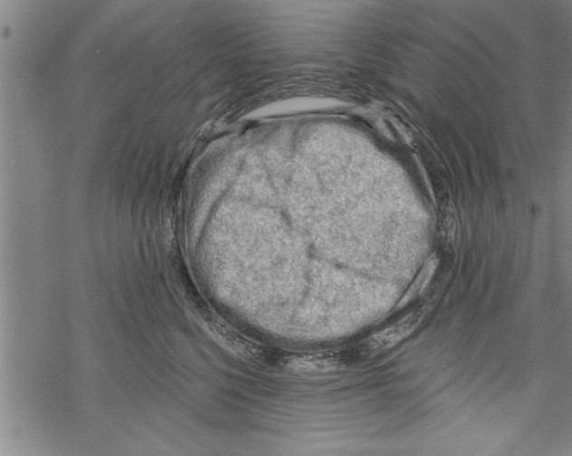 X0000067510568200605051832