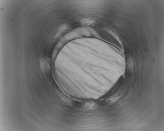 X0000067510570200605051832